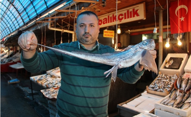 Mersinli Balıkçılar Okyanusta Yaşayan ‘Şeytan Balığı’ Yakaladı