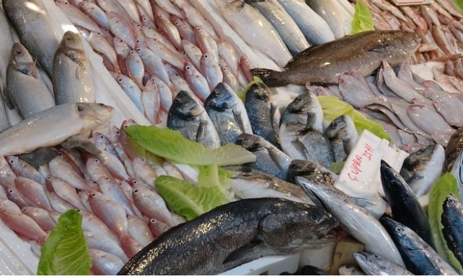 Mersin'de Av Yasağı Kalkınca Balık Bolluğu Nedeniyle Fiyatlar Düştü
