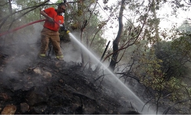 Mersin'de Orman Yangınında 2 Hektar Kızılçam Zarar Gördü