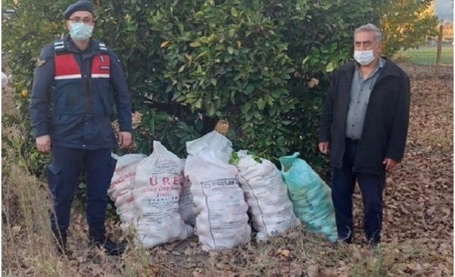 Artık Hırsızlar Adana'da Portakal Bahçelerine Dadandı