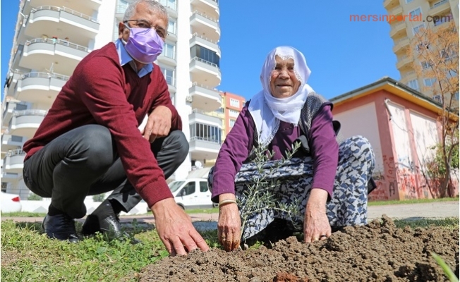 Mezitli'de Şiddet Sonucu Hayatını Kaybeden Kadınların Anısına Zeytin Fidanı Dikildi.