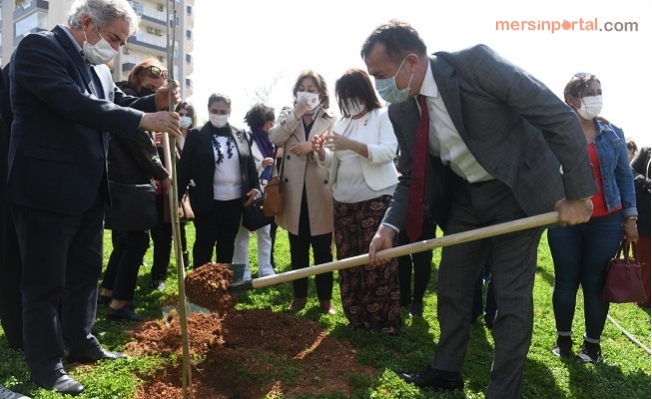 Mimozalar Yenişehir’de Toprakla Buluştu