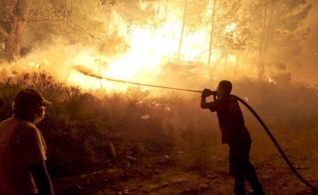 AFAD’dan 6 İl İçin Orman Yangını Uyarısı