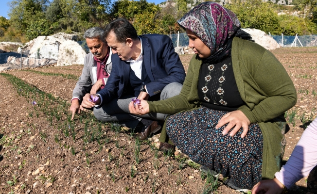 Yenişehir Belediyesi Tarımsal Danışmanlık Hizmeti Verecek