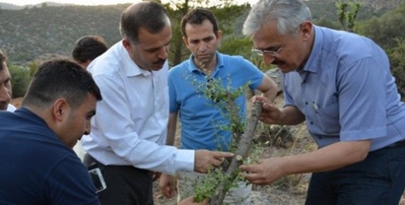 Mersin’de '5000 Köye 5000 Orman' Projesinde Hedefler Aşıldı   