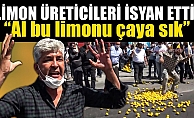 Mersin'de Limon Üreticileri Yol Kapatıp Eylem Yaptı